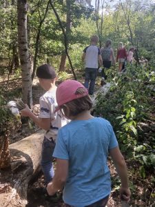 Kinder erleben mit der CDU einen Vormittag im Wald